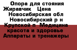 Опора для стояния Жиравчик › Цена ­ 12 000 - Новосибирская обл., Новосибирский р-н, Крупской п. Медицина, красота и здоровье » Аппараты и тренажеры   
